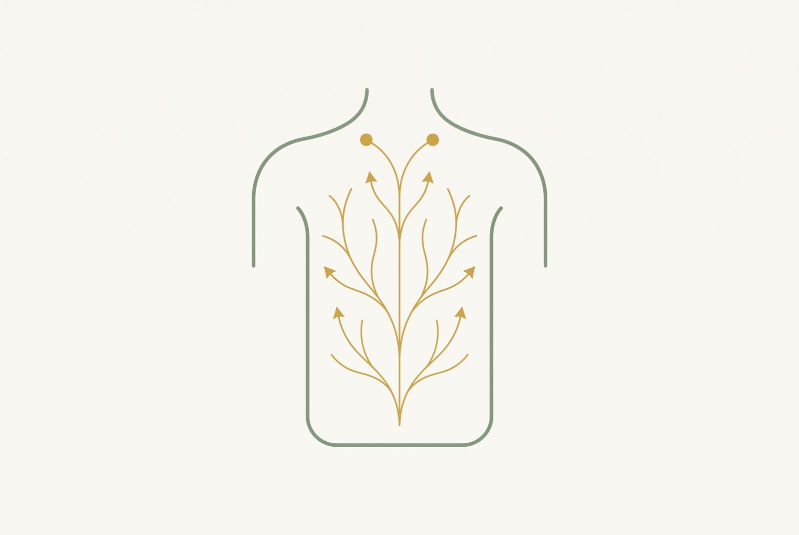 Illustration of the lymphatic network and its gentle upward flow toward the collarbone